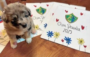 E’ arrivato il nuovo calendario dell’Oasi Desirée