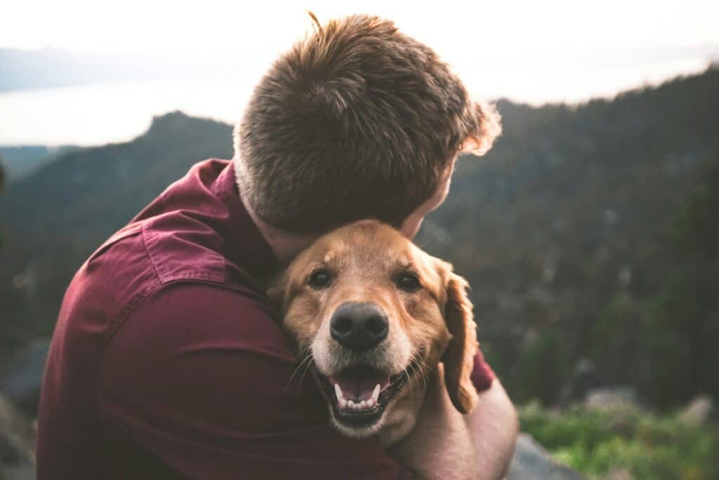 Anche a Cesenatico gli animali domestici potranno essere sepolti con i loro padroni