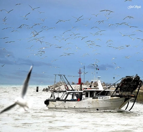 Brindano le vongolare di Cesenatico: le “poverazze” diventano marchio europeo