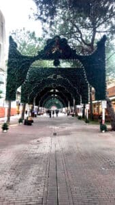 Restyling da dieci milioni di euro per viale Ceccarini