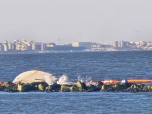 Ormai completamente affondato il Calimero Sampa: parte la raccolta fondi