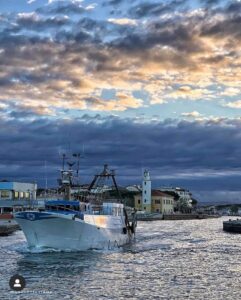 Pesce già morto nelle reti e tronchi in mare: l’allarme delle piccole imbarcazioni