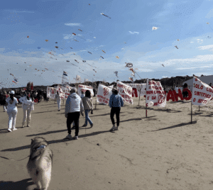 Raid no-vax al festival degli aquiloni: dopo Pinarella tocca a Cesenatico?