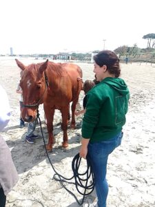 Alla Cardinal Schuster lezioni con il cavallo “Crash” 