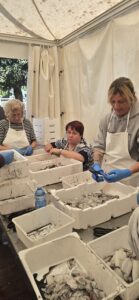 Temperature estive: partenza con il botto per gli stand di “Azzurro come il Pesce”