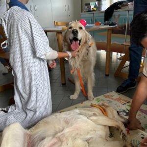 Nuovi progetti di Pet Therapy all’ospedale di Cesena
