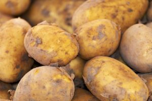 La Patata della Riviera Romagnola protagonista al Macfrut 2025