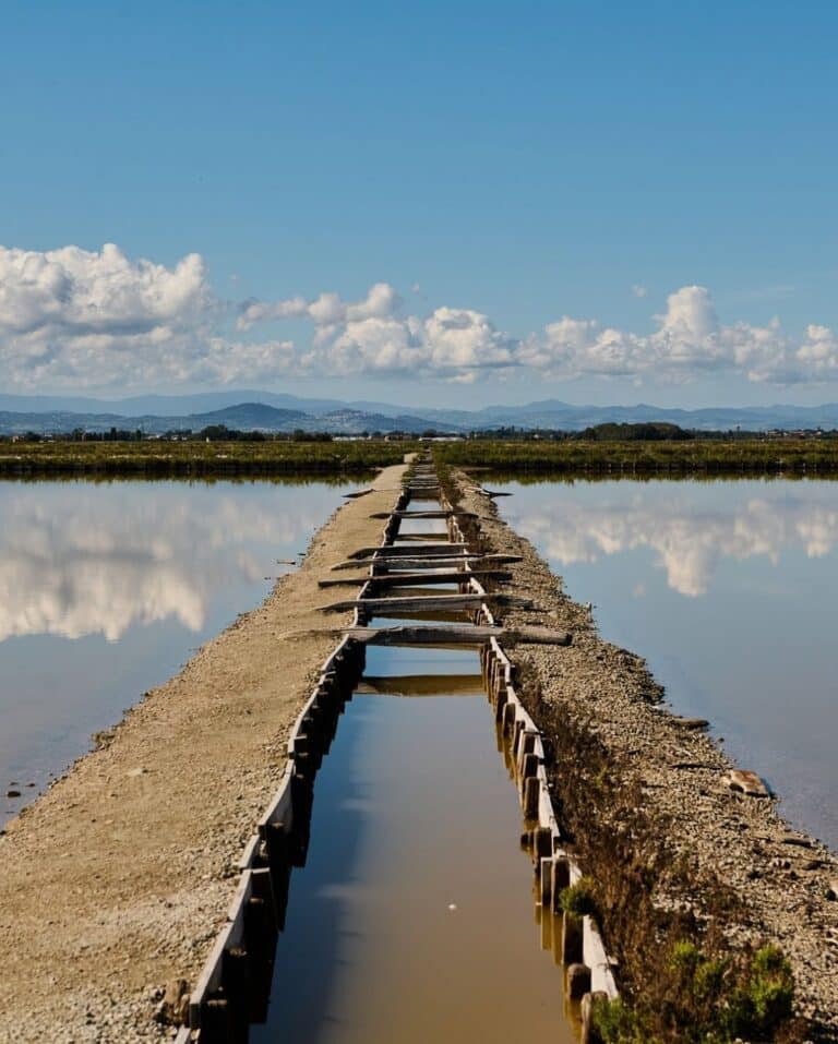 A due anni dall’alluvione torna il Sale dolce di Cervia