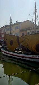 Vele a mezz’asta per la morte improvvisa di “Tuscanin”