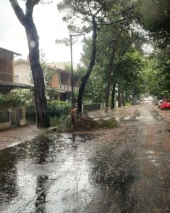 Vento a 90km/h e pioggia record: un albero danneggia un’auto parcheggiata