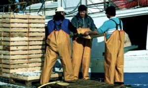 Caro gasolio, allarme a Cesenatico: la marineria teme il fermo delle barche