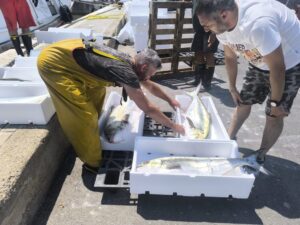 Termina oggi il fermo pesca: le barche tornano a calare le reti