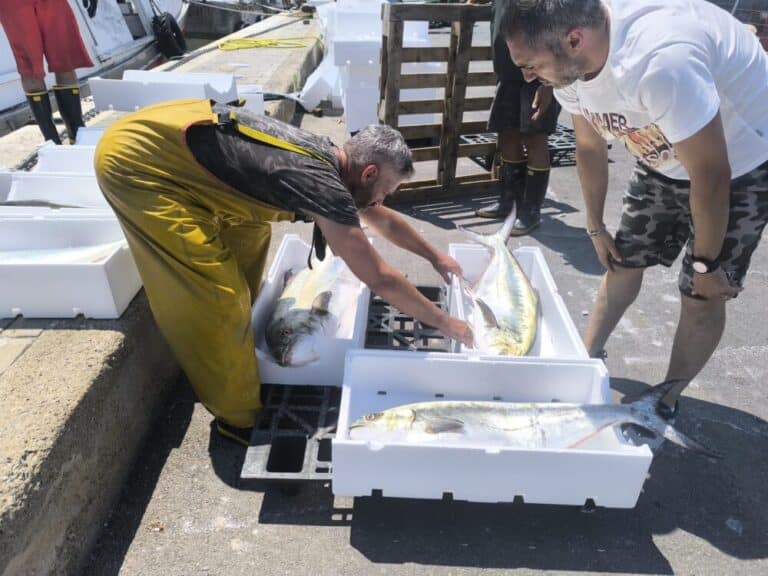 Scatta il fermo pesca in Adriatico: da domani stop ai pescherecci a strascico da Trieste ad Ancona