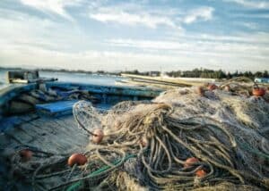 Gasolio alle stelle, pescatori e Comuni scrivono al ministro Lollobrigida