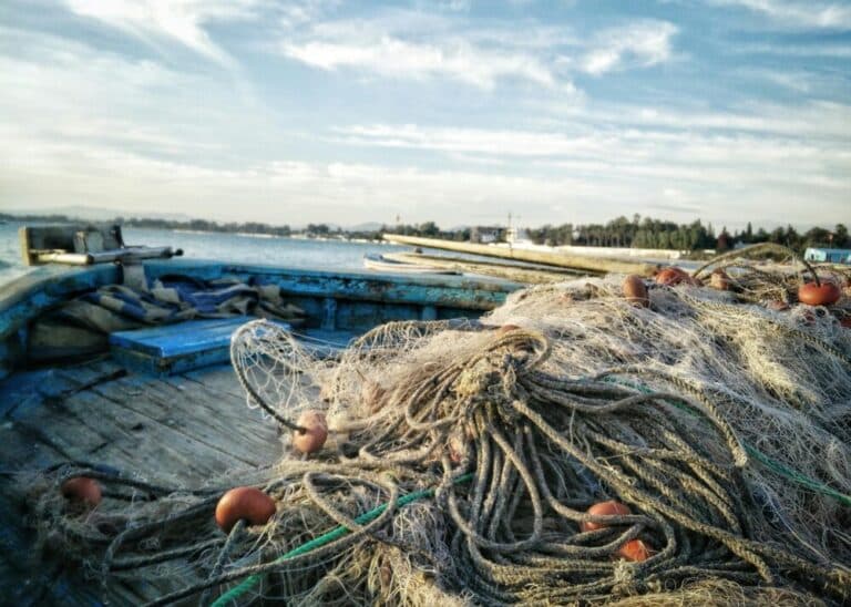 Gasolio alle stelle, pescatori e Comuni scrivono al ministro Lollobrigida
