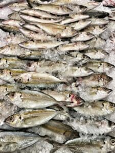 Sequestrate quindici tonnellate di pesce “non conforme”