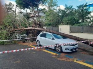 Auto danneggiate dagli alberi: a chi spetta risarcire?