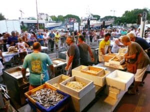 Via libera del Comune a due grandi eventi: patrocinio per il torneo 3×3 e la Rustida dei Pescatori