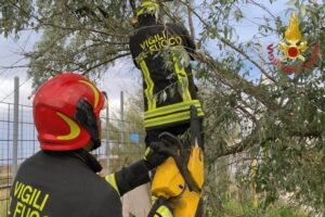Bilancio maltempo: danni ad Atlantica, all’ex Lanternino e in diverse scuole