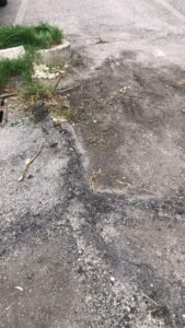 Raccolta firme per mettere in sicurezza la ciclabile di via Cesenatico