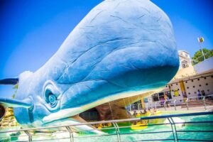 Atlantica, il parco acquatico verso una nuova vita: 600mila euro per la riqualificazione