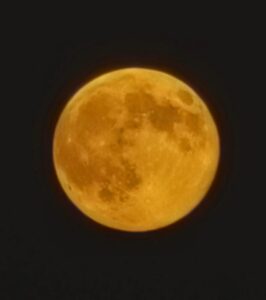 La Superluna del Castoro incanta il cielo: gli scatti di Lia Briganti