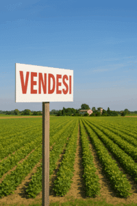 Va all’asta un terreno agricolo di 3 ettari in via Carlona
