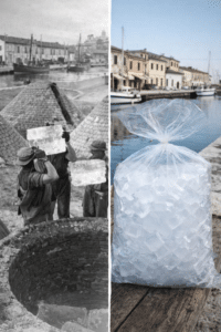 Il ghiaccio a Cesenatico: dalle “conserve” dei pescatori al sacchetto pronto di oggi
