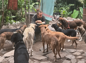 Alessandro Bagnolini trasforma il compleanno in solidarietà: “38 seconde possibilità” per i cani dei rifugi di mezzo mondo