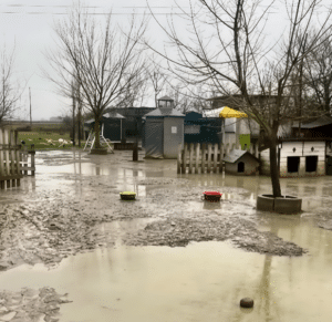 “Riapriamo Oasi Desirée”, la raccolta fondi per far rinascere l’oasi ferita dall’alluvione