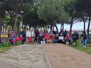 Cesenatico in cammino per i levrieri: il Gaci accende i riflettori su adozioni e tutela (foto e video)