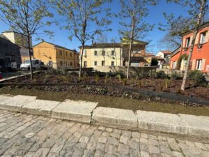 Manutenzione straordinaria del verde: dopo i lavori in Piazza delle Conserve via ai Giardini al Mare