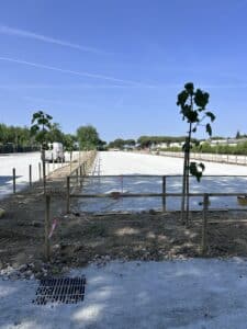 Due nuovi parcheggi per l’estate: 440 posti tra via Mazzini e via Piave