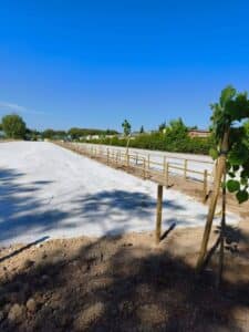 Drudi (PD): “Un nuovo parcheggio pubblico in via Mazzini per dare una risposta a Ponente”