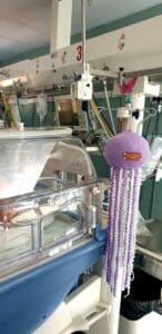 Le “meduse gentili” di Un Mare di Lana arrivano ai piccoli prematuri del Bufalini