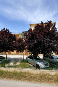 Va all’asta un immobile comunale in viale dei Mille