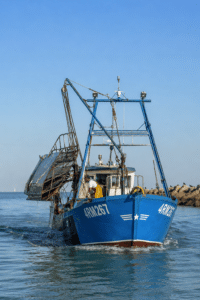 Vongolari, cresce la tensione: le troppe multe mettono in allarme la marineria