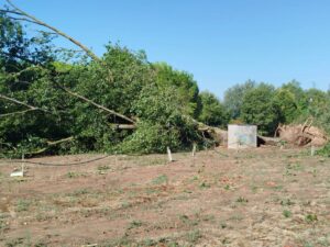 Cesenatico, il giorno dopo la tempesta: raffiche oltre i 120 chilometri orari