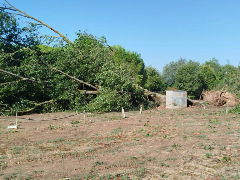 Cesenatico, il giorno dopo la tempesta: raffiche oltre i 120 chilometri orari