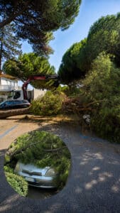 Grosso ramo cede in Viale Carducci: colpita un’auto, strada chiusa