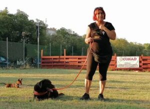 “Compagni di Vita” sbarca a Cesenatico: nasce il polo dell’alta formazione cinofila