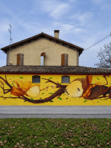 La Casa del Gelso rinasce: il Comune avvia il recupero dello storico edificio di Bagnarola