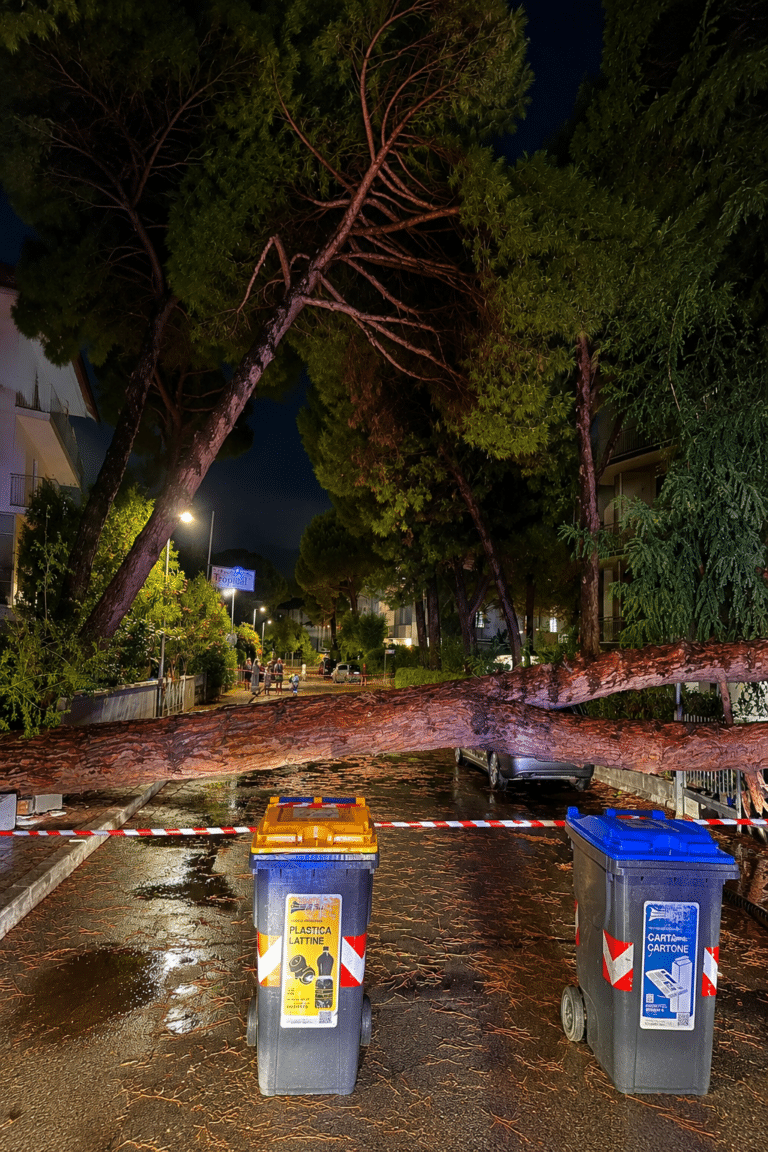 Alberi pericolanti, intervento da 100mila euro dopo il fortunale