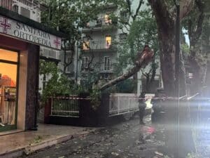 Burrasca su Cesenatico: vento e pioggia, alberi spezzati in tutta la città (foto e video)
