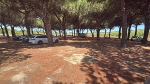 Parcheggio selvaggio nell’area verde: raffica di multe tra via Saffi e via Bramante