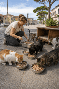 Cibo delle mense scolastiche alle colonie feline: il progetto contro gli sprechi