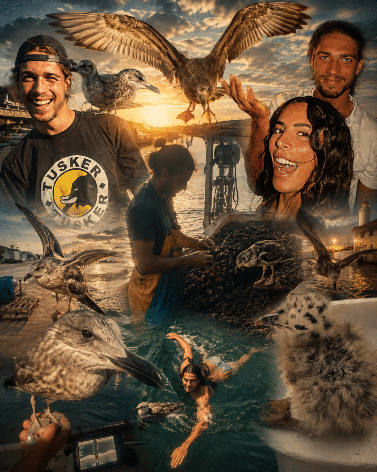 Alessio e il gabbiano Willy: una storia d’amore nata sul mare