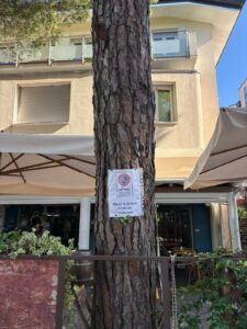Memorial Pantani, raffica di rimozioni in viale Roma (ma c’è il rischio dei ricorsi)