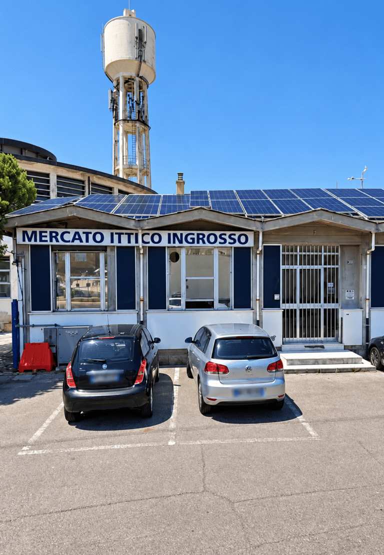 Mercato ittico, aggiudicati i lavori da mezzo milione: via libera anche al fotovoltaico