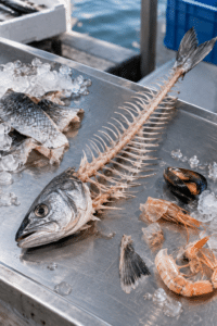 Il tesoro nascosto del pesce: nel Forlivese-Cesenate stimati 634mila chili di scarti all’anno